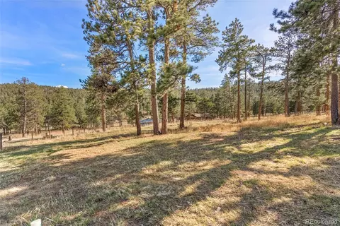 Exterior - 302 Conifer Dr, Bailey, CO 80421 photo 5 of 9