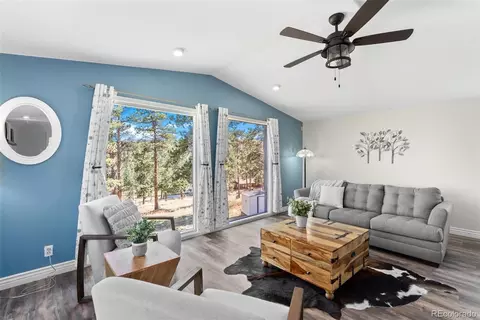 Living - 302 Conifer Dr, Bailey, CO 80421 photo 2 of 5