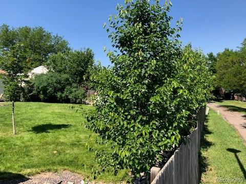 4333 E 118th Ave, Thornton, CO 80233 photo 27