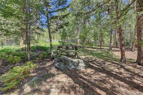 7975 Native Dancer Trl, Evergreen, CO 80439 photo 24