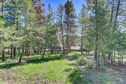 7975 Native Dancer Trl, Evergreen, CO 80439 photo 22