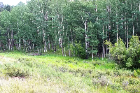 344 Grey Eagle Dr, Cripple Creek, CO 80814