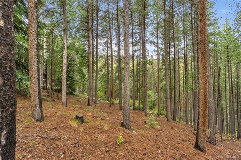 537 Cedar Rd, Evergreen, CO 80439 photo 24