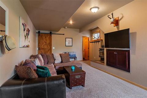 1116 Mockingbird Trl, Bailey, CO 80421 photo 29