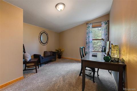 1116 Mockingbird Trl, Bailey, CO 80421 photo 28