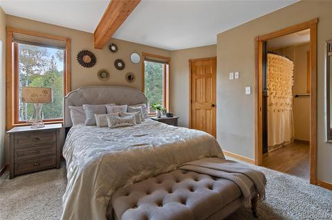 1116 Mockingbird Trl, Bailey, CO 80421 photo 23