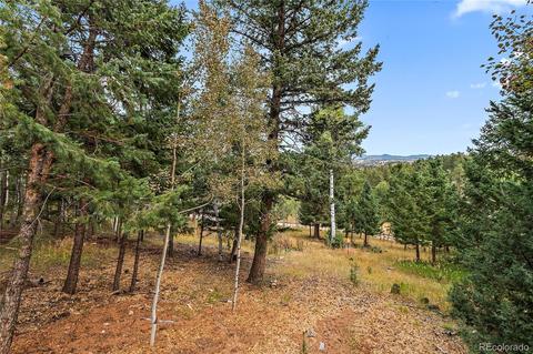 1116 Mockingbird Trl, Bailey, CO 80421 photo 39