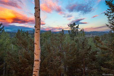 1116 Mockingbird Trl, Bailey, CO 80421 photo 9