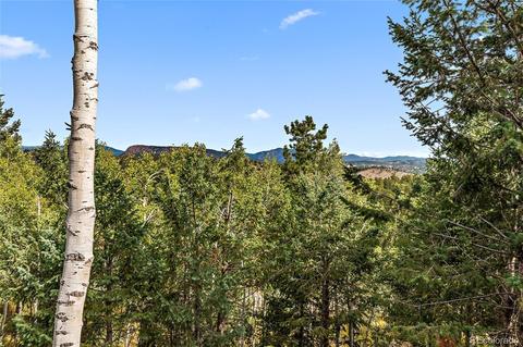 1116 Mockingbird Trl, Bailey, CO 80421 photo 10