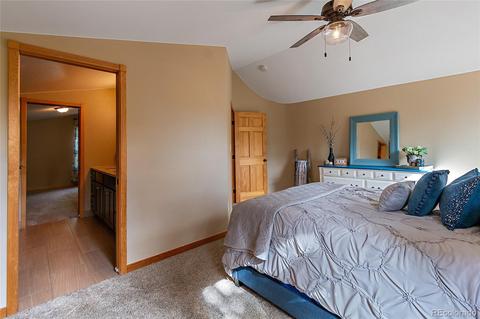 1116 Mockingbird Trl, Bailey, CO 80421 photo 26