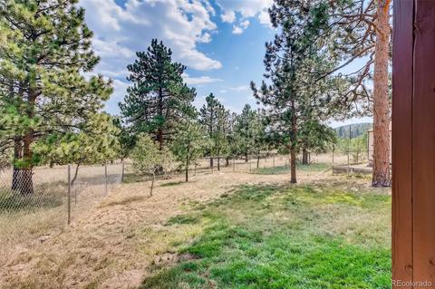 80 Swift Ct, Bailey, CO 80421 photo 23