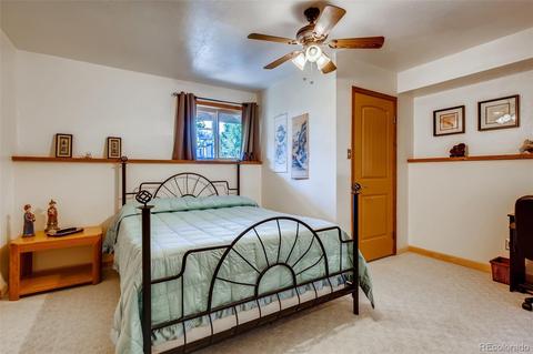 80 Swift Ct, Bailey, CO 80421 photo 20