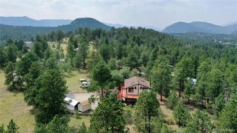 80 Swift Ct, Bailey, CO 80421 photo 3