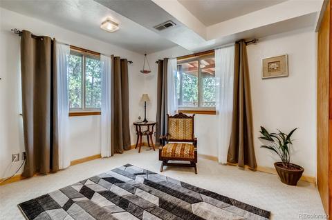 80 Swift Ct, Bailey, CO 80421 photo 17