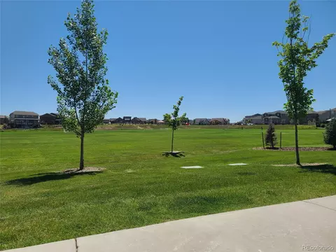6129 E 143rd Ave, Thornton, CO 80602 photo 42