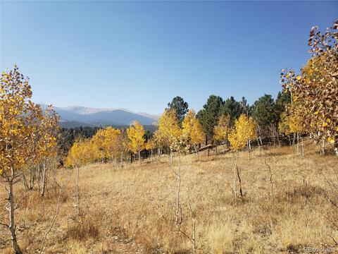 185 Quartz Cir, Bailey, CO 80421 photo 2