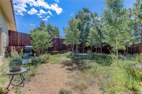 185 Quartz Cir, Bailey, CO 80421 photo 39