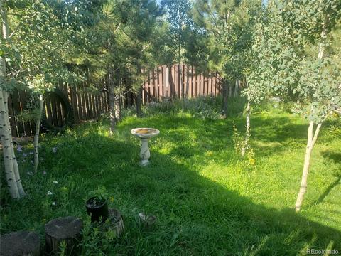 185 Quartz Cir, Bailey, CO 80421 photo 28