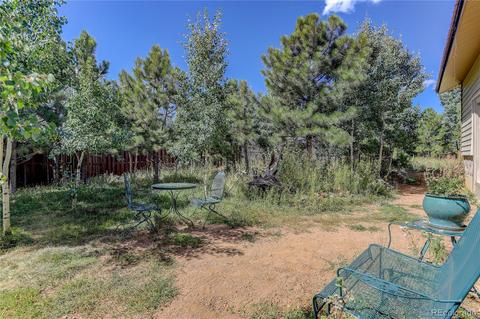 185 Quartz Cir, Bailey, CO 80421 photo 40