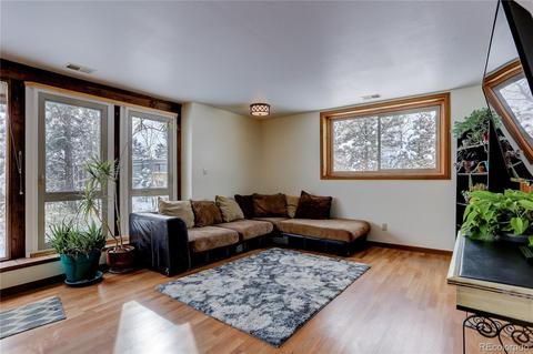 185 Quartz Cir, Bailey, CO 80421 photo 12