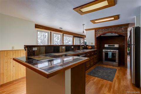 185 Quartz Cir, Bailey, CO 80421 photo 10