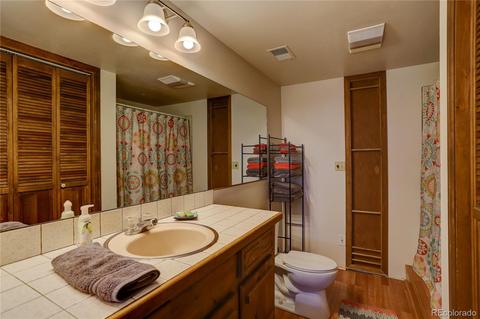 185 Quartz Cir, Bailey, CO 80421 photo 20