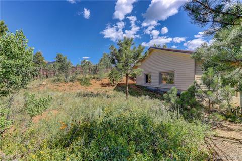 185 Quartz Cir, Bailey, CO 80421 photo 38