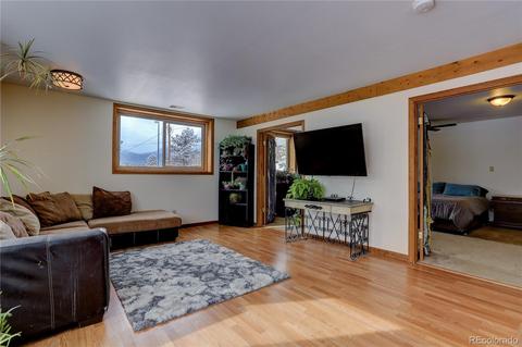 185 Quartz Cir, Bailey, CO 80421 photo 11