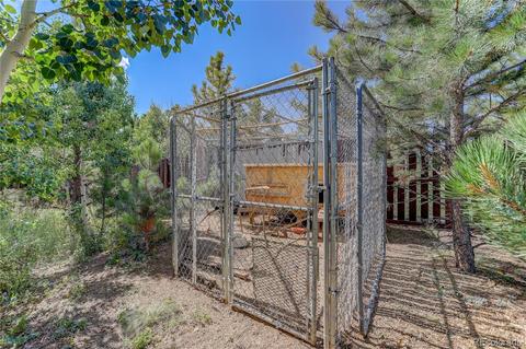 185 Quartz Cir, Bailey, CO 80421 photo 32