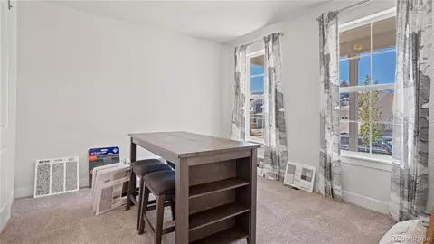 15762 Native Willow Dr, Monument, CO 80132 photo 8
