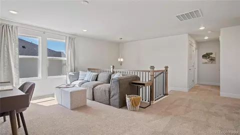 15762 Native Willow Dr, Monument, CO 80132 photo 18