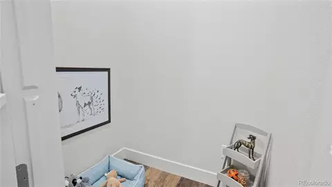 15762 Native Willow Dr, Monument, CO 80132 photo 5