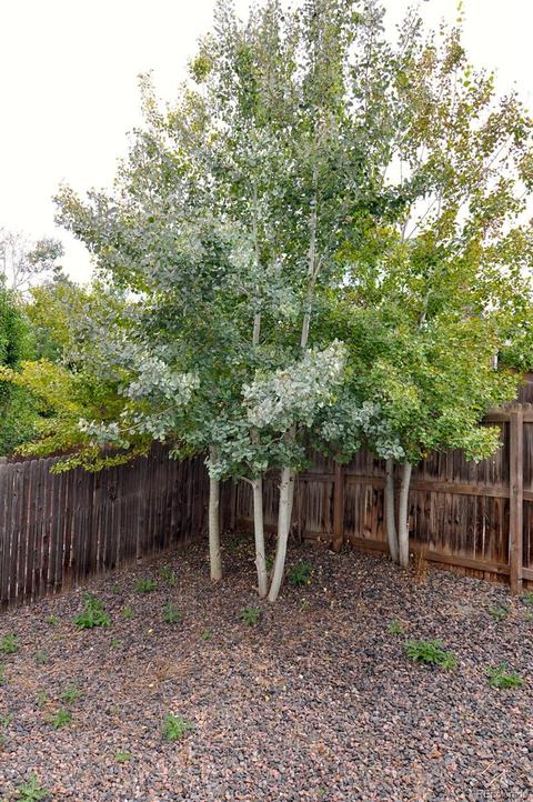 6620 E 123rd Dr, Brighton, CO 80602 photo 20