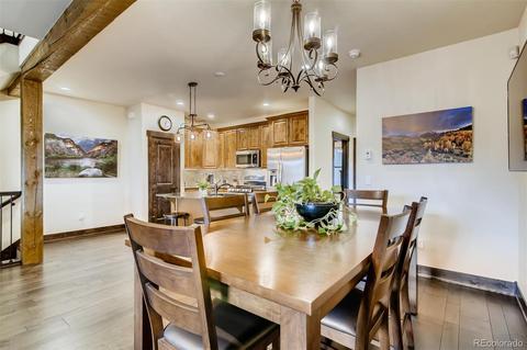12 Damselfly Loop, Silverthorne, CO 80498 photo 8