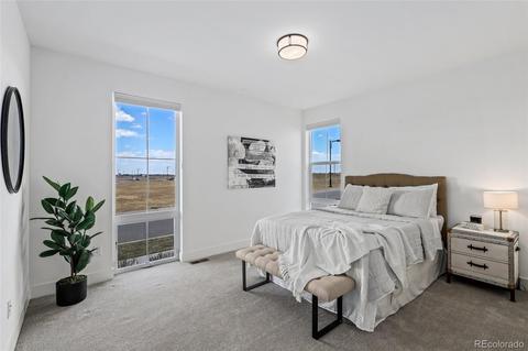 9604 E 60th Pl, Denver, CO 80238 photo 17