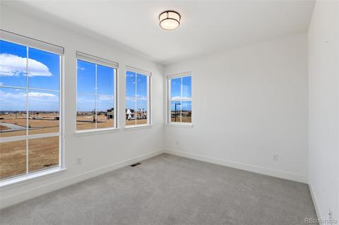 9604 E 60th Pl, Denver, CO 80238 photo 28