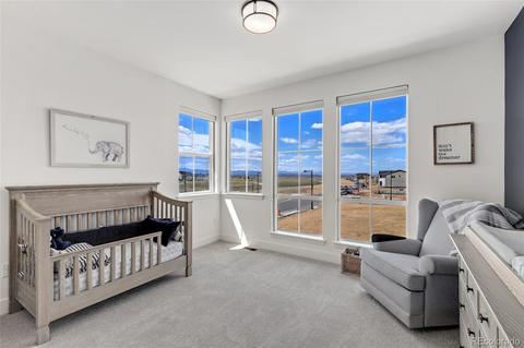 9604 E 60th Pl, Denver, CO 80238 photo 33