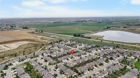 2135 Crop Row Dr, Windsor, CO 80550 photo 11