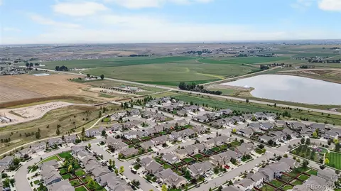 2135 Crop Row Dr, Windsor, CO 80550 photo 12