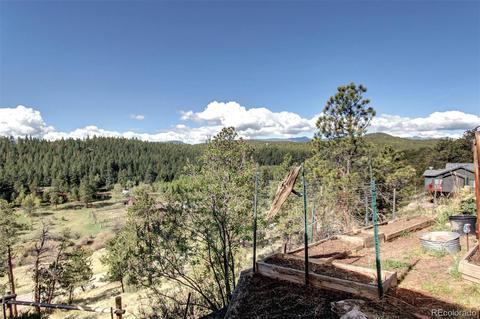 182 Spruce Trl, Bailey, CO 80421 photo 35