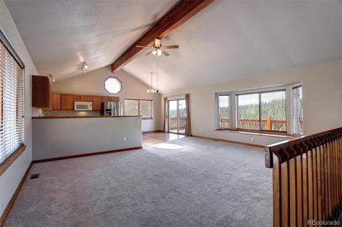 182 Spruce Trl, Bailey, CO 80421 photo 6