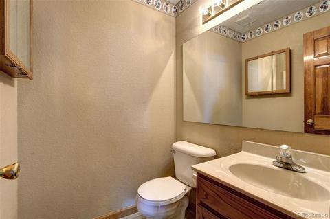 182 Spruce Trl, Bailey, CO 80421 photo 28