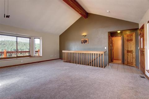182 Spruce Trl, Bailey, CO 80421 photo 9