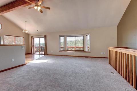 182 Spruce Trl, Bailey, CO 80421 photo 8