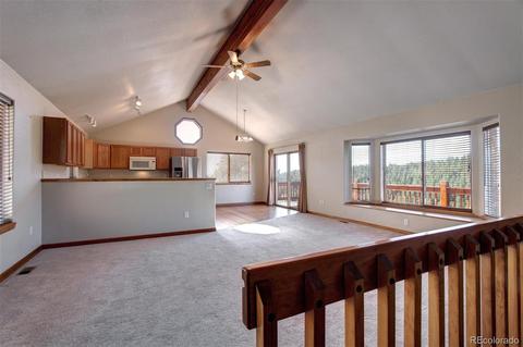 182 Spruce Trl, Bailey, CO 80421 photo 7