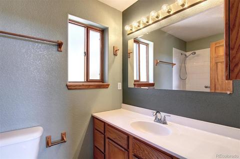 182 Spruce Trl, Bailey, CO 80421 photo 22
