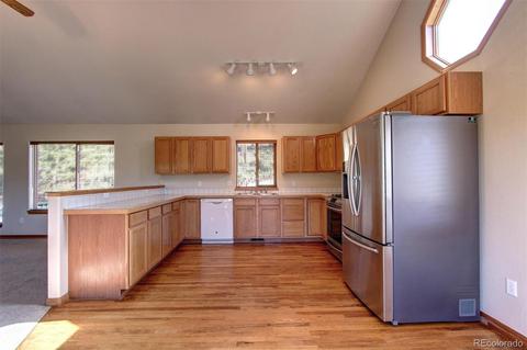 182 Spruce Trl, Bailey, CO 80421 photo 16