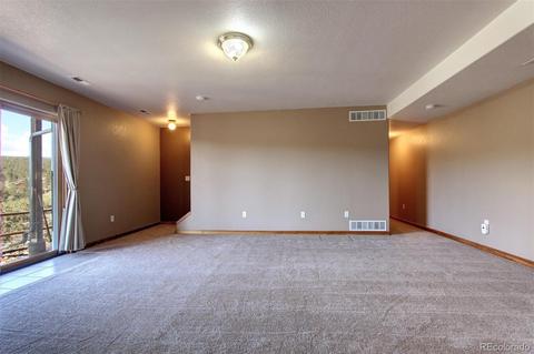 182 Spruce Trl, Bailey, CO 80421 photo 24