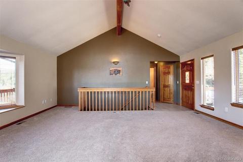 182 Spruce Trl, Bailey, CO 80421 photo 10