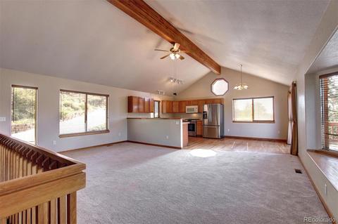 182 Spruce Trl, Bailey, CO 80421 photo 11